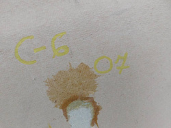 CITROEN C6 2.7 HDI 07r PODSUFITKA 