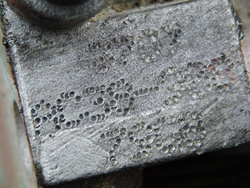 SUZUKI MARUTI ALTO 1.1 2003r - PRZEPUSTNICA