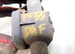 DAF LF 55.220 2003r 19,5 ZAWÓR NAGRZEWNICY LINKA