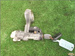 KIA CERATO 1.6 16V 2004r - STACYJKA