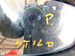 FIAT STILO 1.4 5D HB LUSTERKO PRAWE 5 PIN 