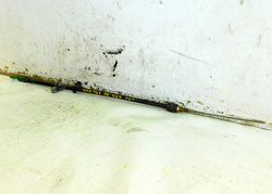 MAN TGX LIFT18r EURO 6 BAGNET MIARKA OLEJU 