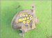 RENAULT LAGUNA II 1.9DCI 04r - HALOGEN PRAWY