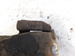 FORD FOCUS Mk2 2007r ZACISK HAMULCOWY PRAWY PRZÓD