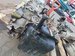 KIA CARENS II 2.0 CRDI SKRZYNIA BIEGÓW N2MSDP AUT