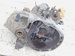 KIA PICANTO I 1.0 12V 05r SKRZYNIA BIEGÓW M51569 