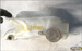 NISSAN VANETTE  2.3D 97r ZBIORNICZEK SPRYSKIWACZY 