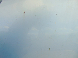 FORD GALAXY Mk2 06- MASKA POKRYWA SILNIKA