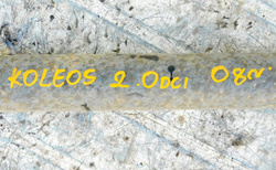 RENAULT KOLEOS I 2.0D 09r WAŁ NAPĘDOWY