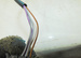 VW PASSAT B5 FL 1.9 TDI LUSTERKO PRAWE 5 PIN NIEBIESKIE 