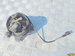 KIA CARNIVAL I 2002r - HALOGEN PRAWY