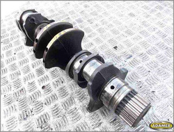 PEUGEOT BOXER 2.8 TD 99r - WAŁ KORBOWY + PANEWKI