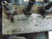 FIAT PANDA II 1.1 04r POMPA ABS 0265800715