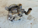 NISSAN ALMERA N16 2.2D 00r POMPA WSPOMAGANIA 