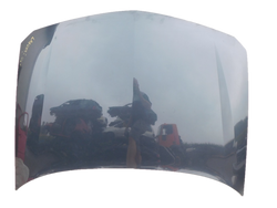 RENAULT LAGUNA II 2.0T 2006r LIFT MASKA 