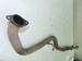SUBARU OUTBACK IV 09-14 DP RURA WYDECHOWA 
