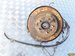 NISSAN MURANO 3.5 V6 2007r - ZWROTNICA PRAWA TYLNA