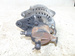 NISSAN ATLEON 3.0TD 01r ALTERNATOR + VACUM