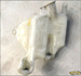 NISSAN VANETTE  2.3D 97r ZBIORNICZEK SPRYSKIWACZY 