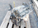RENAULT CLIO II 1.2 2001r SILNIK D7F
