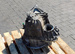 RENAULT LAGUNA II LIFT 05 1.9 DCI SKRZYNIA BIEGÓW PK6068 7741722831