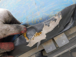 IVECO DAILY 35S13 2001r - FOTEL LEWY KIEROWCY