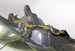 OPEL ASTRA H III 1.6 05r Z20R LAMPA REFLEKTOR PRAWY PRZÓD 24451033