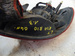 KIA RIO I 1.3 04R LAMPA LEWY TYŁ 