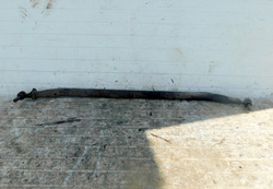 MERCEDES ECONIC 957.661 03r DRĄŻEK KIEROWNICZY POPRZECZNY 