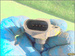 SEAT IBIZA II 1.4 97r CZUJNIK CIŚNIENIA 0261230011