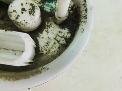 SEAT EXEO 2.0TDI 120KM 11r CZUJNIK POZIOMU PALIWA